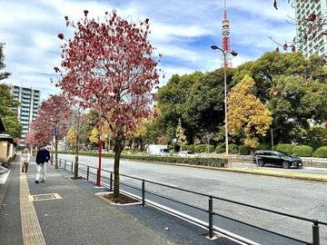 東京都道 環状三号線