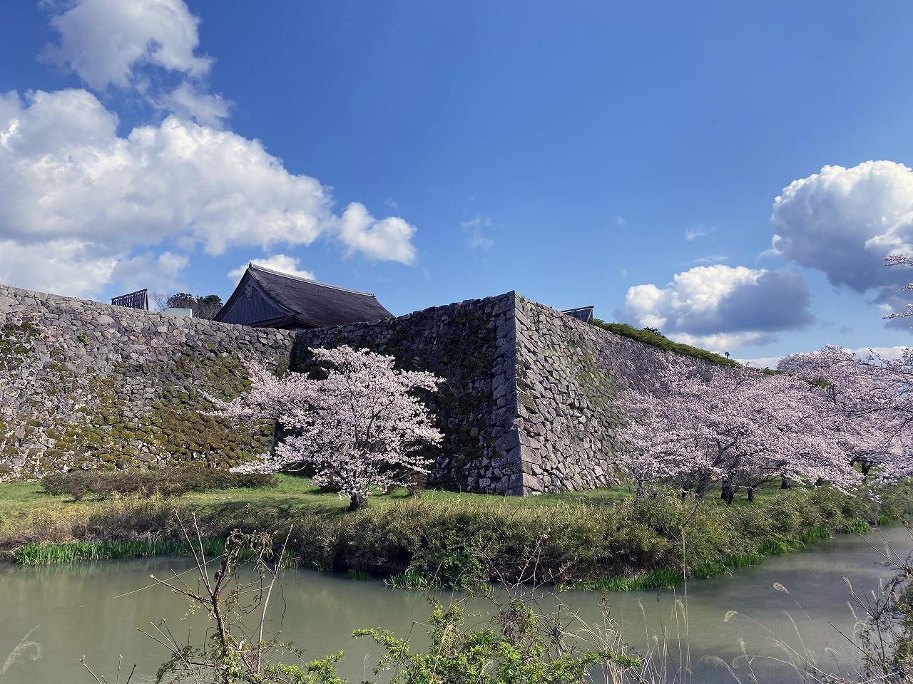 大篠 (津山市)