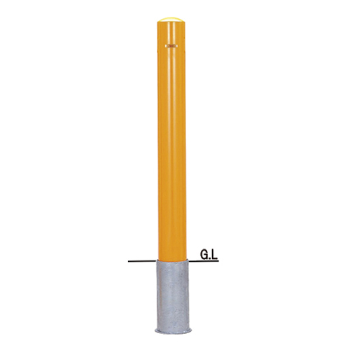 個人宅配送不可】帝金 Teikin S54PK-CT 直送 代引不可・他